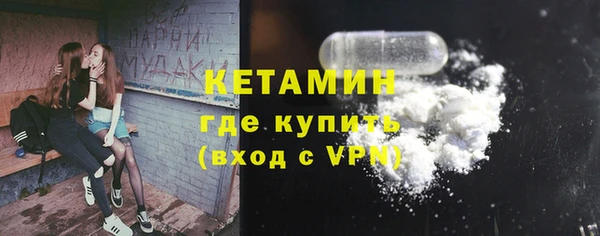 индика Володарск