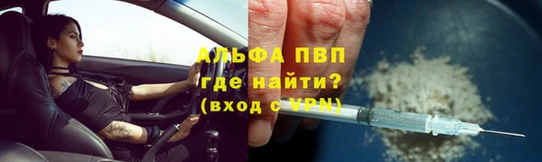 индика Володарск