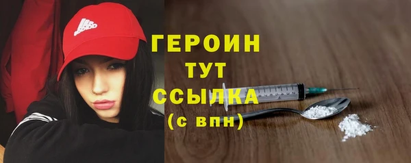 индика Володарск