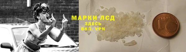 индика Володарск