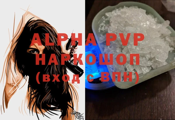 индика Володарск