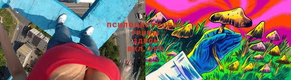 таблы Верхний Тагил